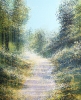 Late Summer Forest Trees