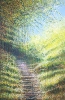 Late Summer Trees #2