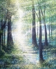 Light Through Summer Trees