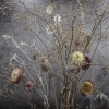 Momento Mori: Autumnal Stillness 3 
