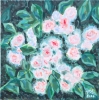 Multiflora Rose No. 1