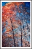Phantom Structures: Energy of Light and Color #3