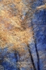 Phantom Structures: Energy of Light and Color #4
