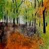 Onset of Autumn