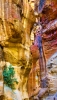 Petra Gorge