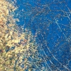 Phantom Structures: Energy of Light and Color #1