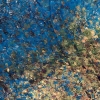 Phantom Structures: Energy of Light and Color #1