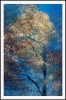 Phantom Structures: Energy of Light and Color #1