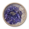 Velvet Midnight Rose