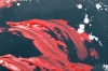 Red Poppy Painting – Poppies at Midnight