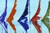 Colourful Sailing Regatta – Silent Regatta