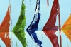 Colourful Sailing Regatta – Silent Regatta