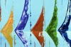 Colourful Sailing Regatta – Silent Regatta