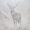 Resilience, a Winter White Stag painting
