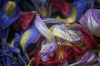 Momento Mori: Ephemeral Elegance 1
