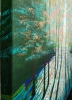 Secret Forest, Shadows and Light