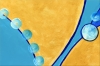Blue and Gold Abstract Painting – Golden Balance