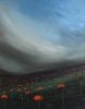 Storm