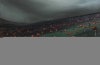 Storm