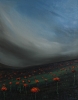 Storm