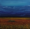 Stormy Sky
