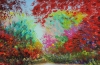 Summer Colour