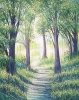 Summer Forest Path