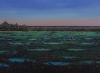 Swampy Place