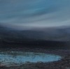 Swampy Pond 