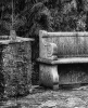 Echoes of the Past: The Great Ambrook Collection - The Bench