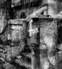 Echoes of the Past: The Great Ambrook Collection - The Derelict Summerhouse