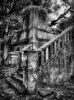 Echoes of the Past: The Great Ambrook Collection - The Derelict Summerhouse