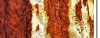 Tree Bark Panorama