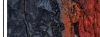 Tree Bark Panorama