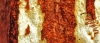 Tree Bark Panorama