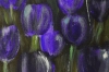 Violet Silence – Purple Tulip Flower Painting