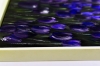 Violet Silence – Purple Tulip Flower Painting
