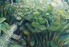 Garden of Eden