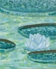 Victorian Water Lily