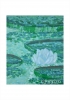Victorian Water Lily