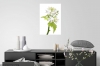 Innocent Beauty: Devon Hedgerows - Garlic Mustard