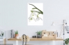 Innocent Beauty: Devon Hedgerows - Snowdrops 1