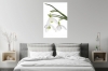 Innocent Beauty: Devon Hedgerows - Snowdrops 1