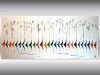 Silent Race – Large Contemporary Sailboat & Regatta Painting