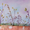 Along The Field Margin
