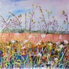 Along The Field Margin