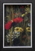 Wild Flowers 1 Framed