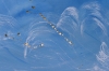 Pacific – Blue Abstract Ocean Painting