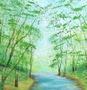 Woodland River Reflections