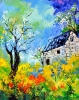 The old house 